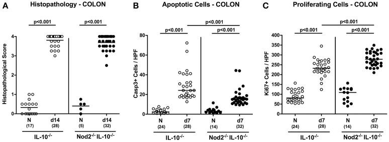 https://cdn.ncbi.nlm.nih.gov/pmc/blobs/9d5c/5508002/82f9184a60d0/fcimb-07-00322-g0005.jpg