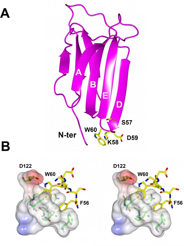 https://cdn.ncbi.nlm.nih.gov/pmc/blobs/9d5d/4372401/2b60dfb79491/pone.0122449.g001.jpg
