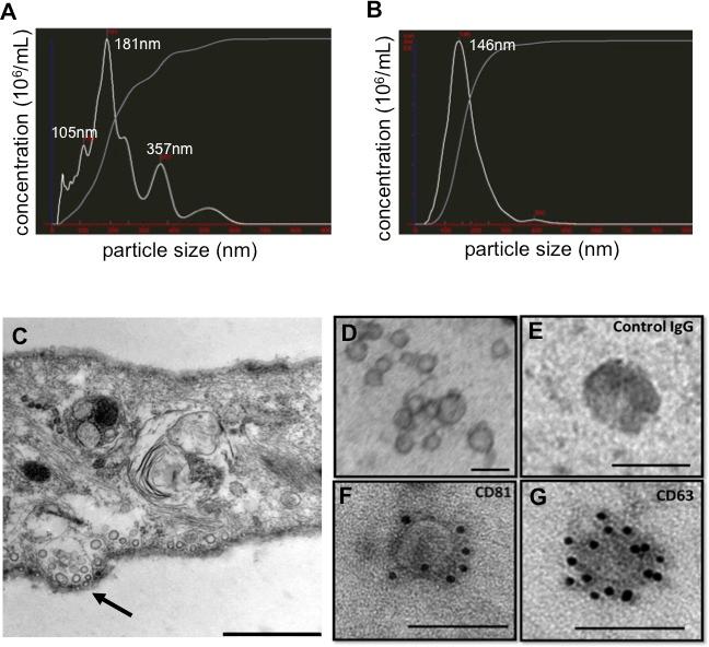 https://cdn.ncbi.nlm.nih.gov/pmc/blobs/9d5e/4467126/60886cec7db2/oncotarget-06-4953-g001.jpg