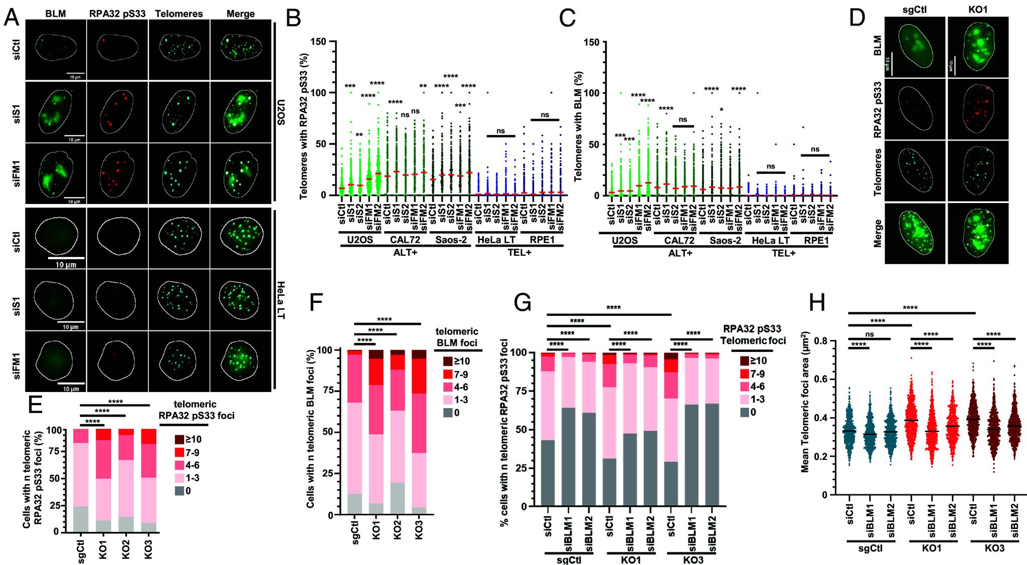 https://cdn.ncbi.nlm.nih.gov/pmc/blobs/9d5f/11745411/40842c02aedf/pnas.2419712122fig03.jpg