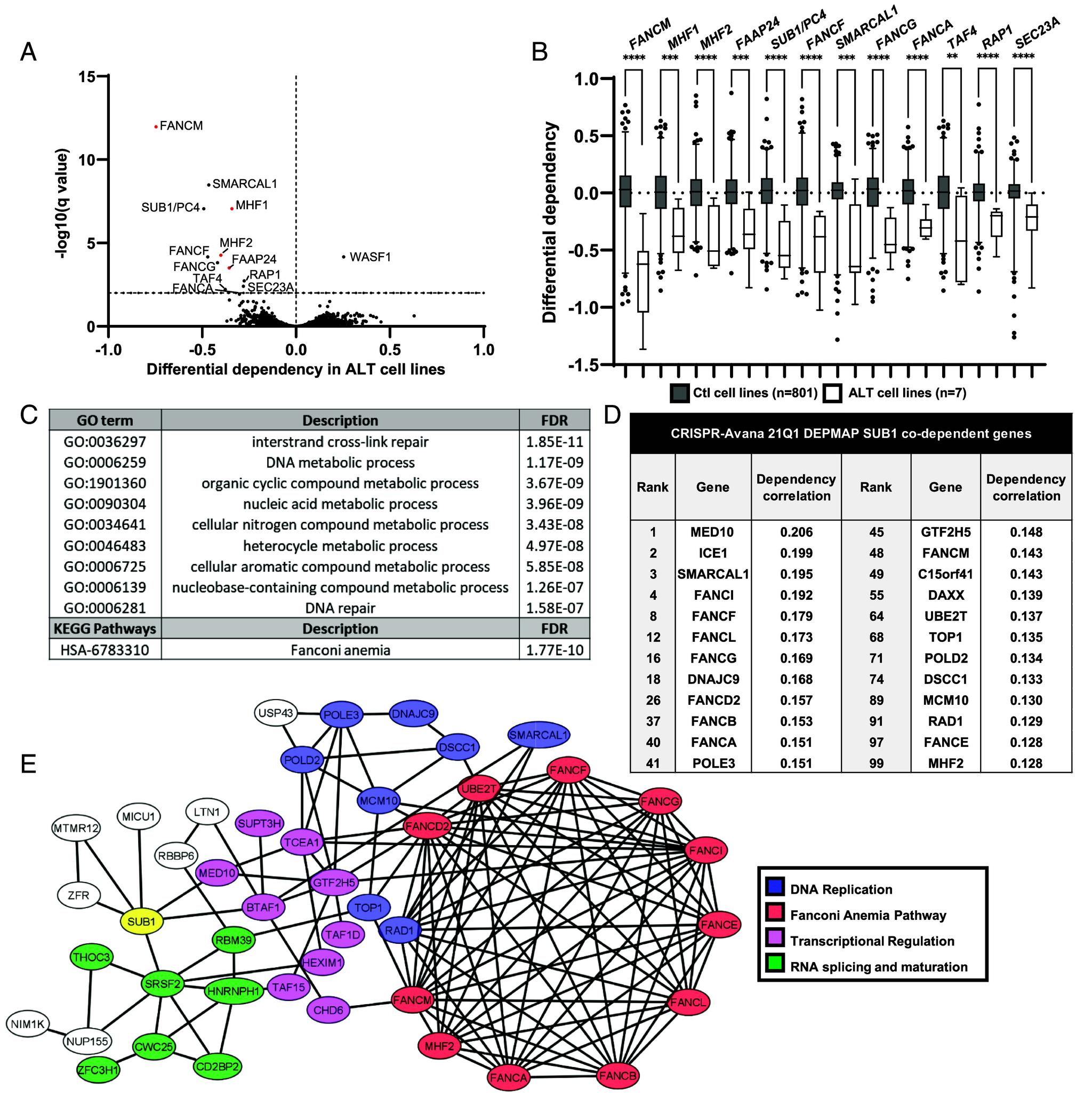 https://cdn.ncbi.nlm.nih.gov/pmc/blobs/9d5f/11745411/60b16ec88bd9/pnas.2419712122fig01.jpg