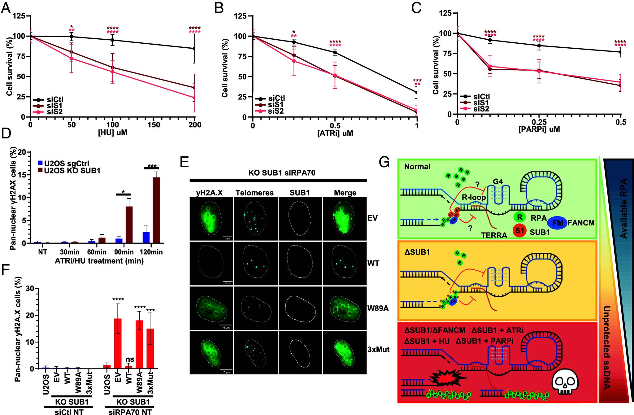https://cdn.ncbi.nlm.nih.gov/pmc/blobs/9d5f/11745411/ad4bb0b8173f/pnas.2419712122fig06.jpg