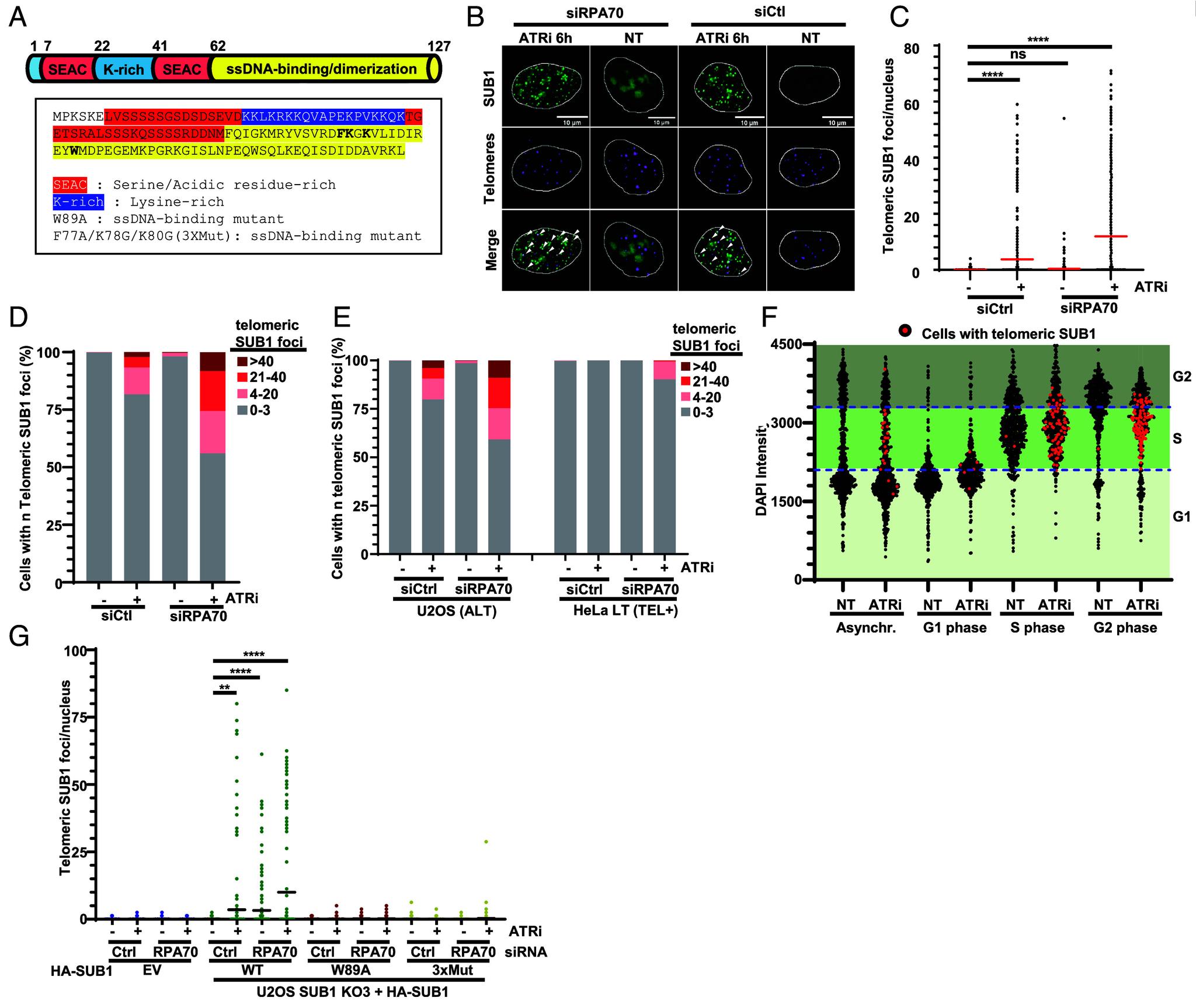 https://cdn.ncbi.nlm.nih.gov/pmc/blobs/9d5f/11745411/c96359314d94/pnas.2419712122fig02.jpg