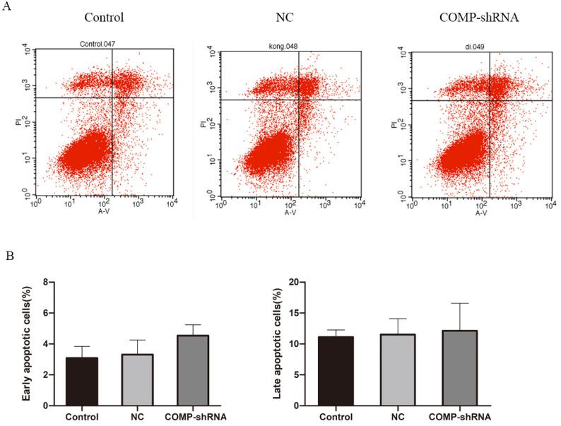 https://cdn.ncbi.nlm.nih.gov/pmc/blobs/9d5f/7890313/029bc5f7d758/jcav12p1623g005.jpg
