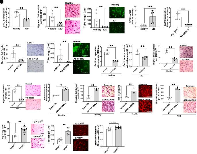 https://cdn.ncbi.nlm.nih.gov/pmc/blobs/9d60/9910611/6537974ec257/pnas.2208541120fig01.jpg