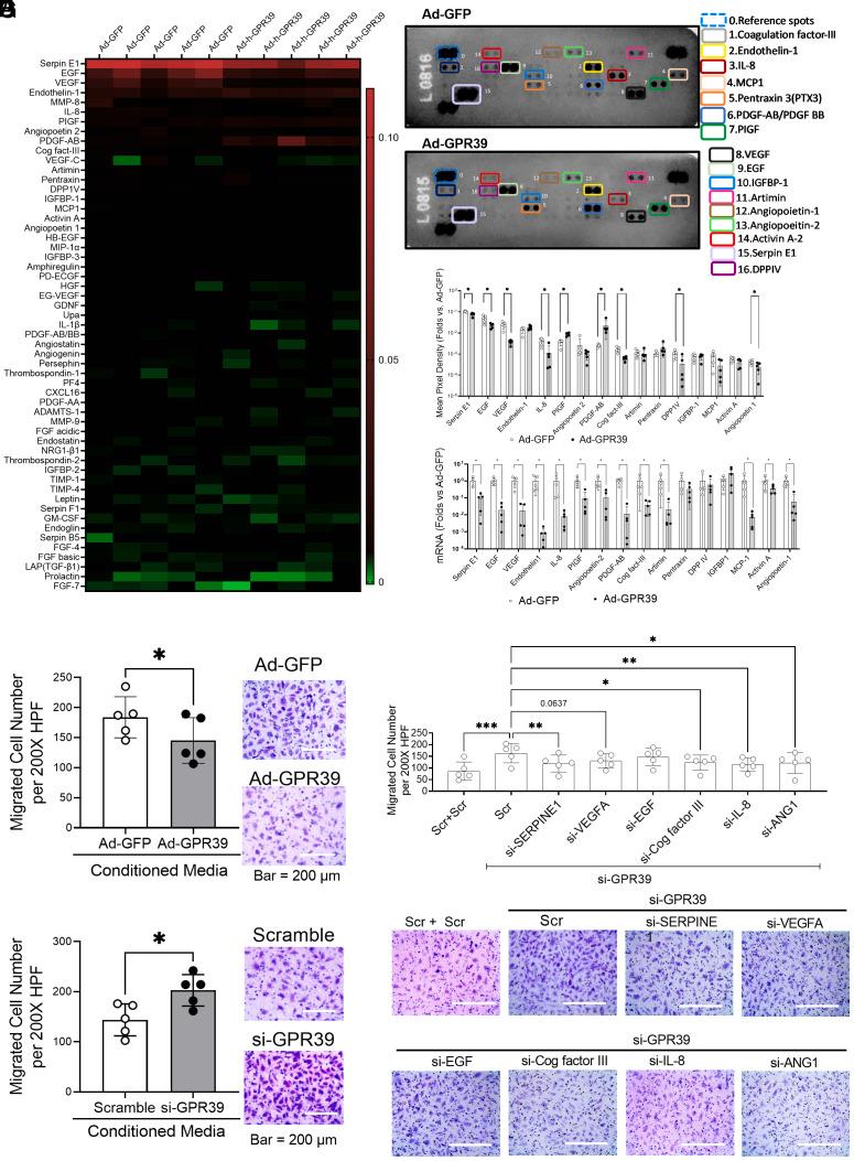 https://cdn.ncbi.nlm.nih.gov/pmc/blobs/9d60/9910611/d3a70d157d54/pnas.2208541120fig02.jpg