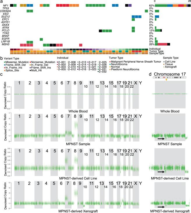 https://cdn.ncbi.nlm.nih.gov/pmc/blobs/9d63/7305302/e24a204499b9/41597_2020_508_Fig3_HTML.jpg