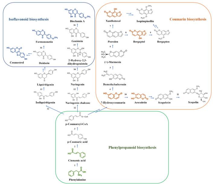 https://cdn.ncbi.nlm.nih.gov/pmc/blobs/9d64/9000485/064b396e03e4/molecules-27-02334-g003.jpg