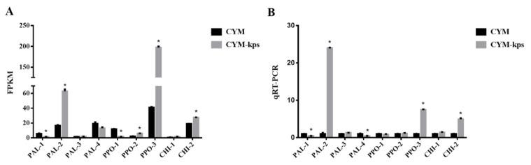 https://cdn.ncbi.nlm.nih.gov/pmc/blobs/9d64/9000485/a6528f827fc4/molecules-27-02334-g005.jpg