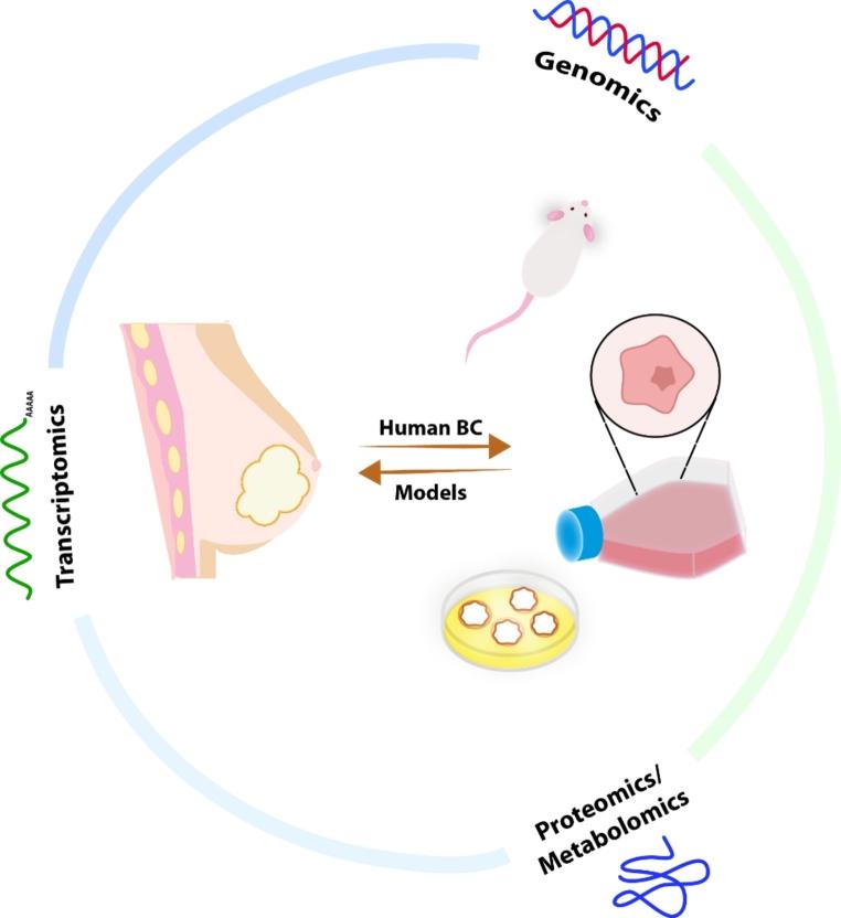 https://cdn.ncbi.nlm.nih.gov/pmc/blobs/9d67/10239388/d0030d1f96cd/10911_2023_9540_Fig1_HTML.jpg