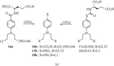 https://cdn.ncbi.nlm.nih.gov/pmc/blobs/9d69/179761/d13d300be813/20909.fig.006a.jpg
