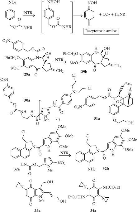 https://cdn.ncbi.nlm.nih.gov/pmc/blobs/9d69/179761/f62b3b69812b/20909.fig.009.jpg