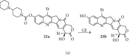 https://cdn.ncbi.nlm.nih.gov/pmc/blobs/9d69/179761/fa88deb278a2/20909.fig.007a.jpg