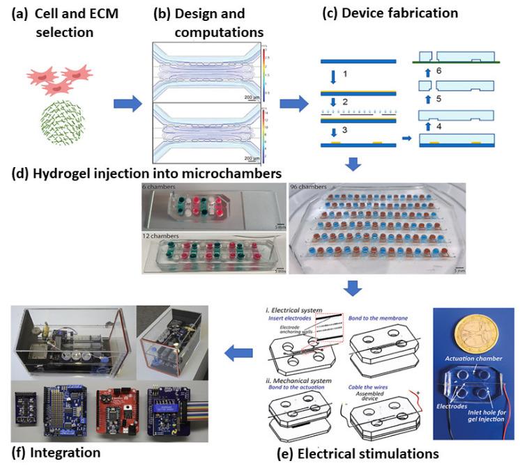 https://cdn.ncbi.nlm.nih.gov/pmc/blobs/9d6b/8533887/7b76efe6a94d/cells-10-02538-g005.jpg