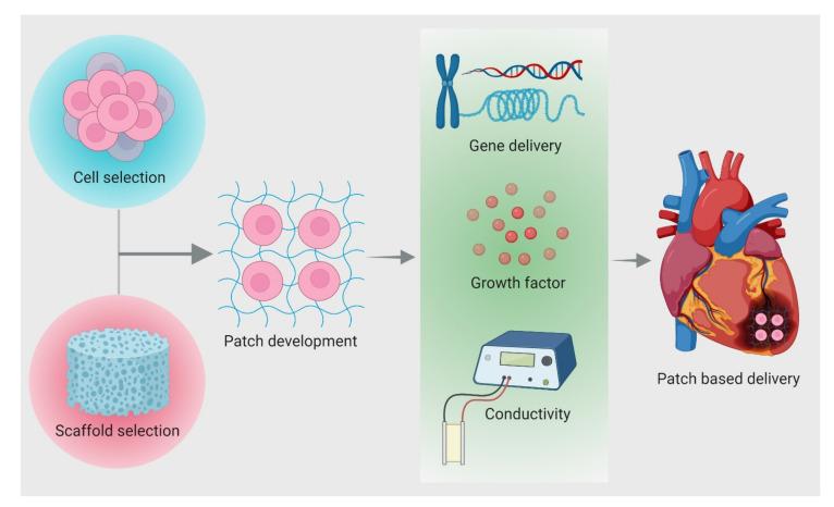 https://cdn.ncbi.nlm.nih.gov/pmc/blobs/9d6b/8533887/8e757c83577b/cells-10-02538-g004.jpg