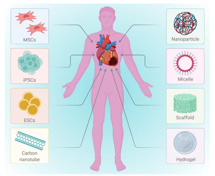 https://cdn.ncbi.nlm.nih.gov/pmc/blobs/9d6b/8533887/e2ed1ad7c4c3/cells-10-02538-g002.jpg