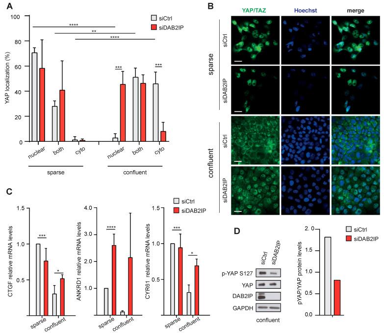 https://cdn.ncbi.nlm.nih.gov/pmc/blobs/9d6c/10340159/5fa34ef61ea4/cancers-15-03379-g006.jpg