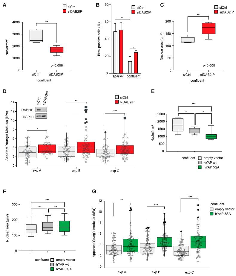 https://cdn.ncbi.nlm.nih.gov/pmc/blobs/9d6c/10340159/8728ea93687d/cancers-15-03379-g005.jpg