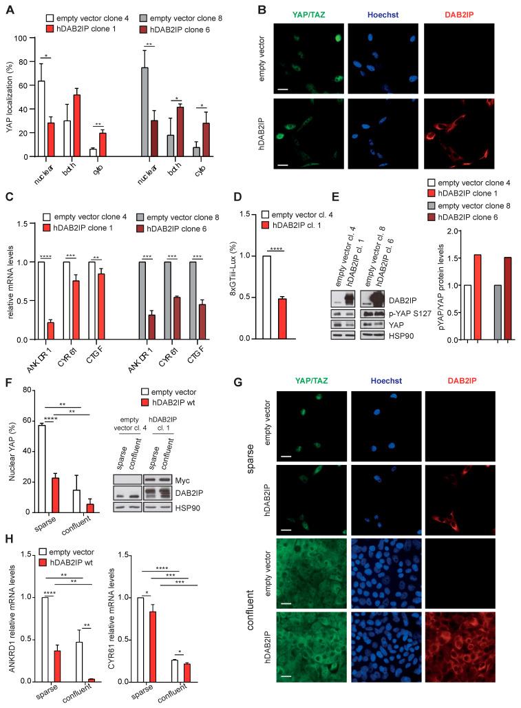 https://cdn.ncbi.nlm.nih.gov/pmc/blobs/9d6c/10340159/d89696ea05bb/cancers-15-03379-g007.jpg