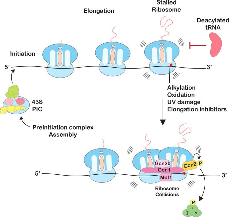 https://cdn.ncbi.nlm.nih.gov/pmc/blobs/9d6c/12224898/4e1b338871e7/BST-BST20253034-g003.jpg