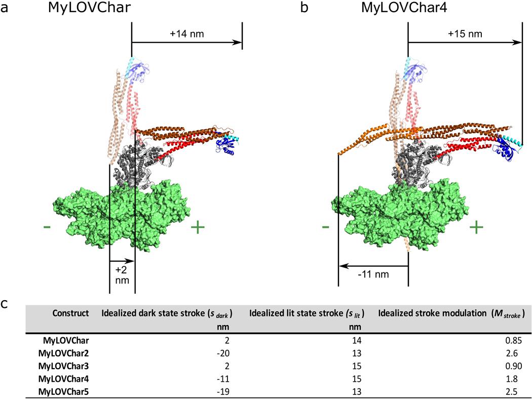 https://cdn.ncbi.nlm.nih.gov/pmc/blobs/9d6d/10807509/716500e1f20e/nihms-1663981-f0007.jpg