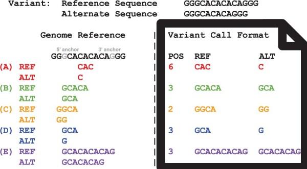 https://cdn.ncbi.nlm.nih.gov/pmc/blobs/9d6d/10832354/4f58a142a7ac/btae038f1.jpg