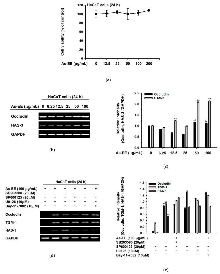 https://cdn.ncbi.nlm.nih.gov/pmc/blobs/9d6e/10007040/83ac5b233c10/plants-12-01167-g002.jpg