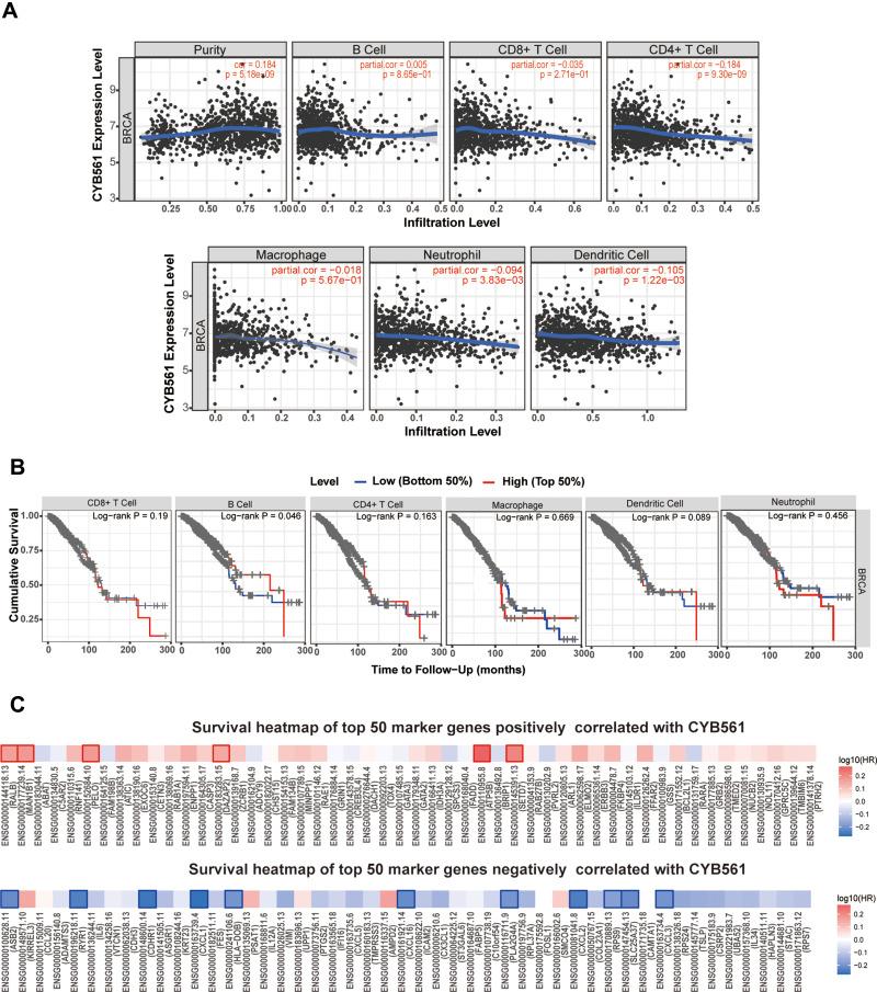 https://cdn.ncbi.nlm.nih.gov/pmc/blobs/9d6f/8722309/a4af0cb2f807/IJGM-14-10447-g0007.jpg