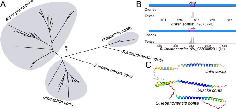 https://cdn.ncbi.nlm.nih.gov/pmc/blobs/9d71/11761671/8fc1504b38e7/pgen.1011549.g004.jpg