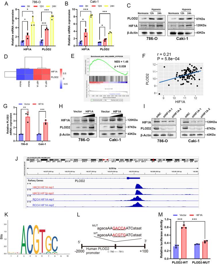 https://cdn.ncbi.nlm.nih.gov/pmc/blobs/9d75/10679098/db75ab3b9454/41419_2023_6298_Fig2_HTML.jpg