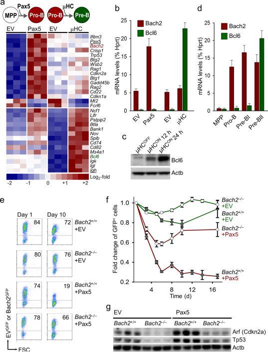 https://cdn.ncbi.nlm.nih.gov/pmc/blobs/9d76/3954721/3e8382d72ac9/nihms-485222-f0001.jpg