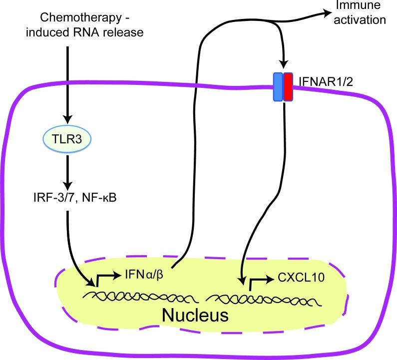 https://cdn.ncbi.nlm.nih.gov/pmc/blobs/9d76/4747176/794abc1e3c83/oncotarget-06-41600-g004.jpg