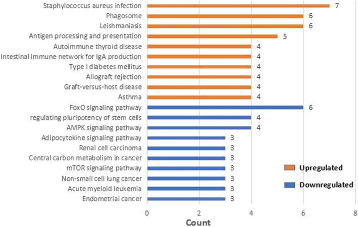 https://cdn.ncbi.nlm.nih.gov/pmc/blobs/9d77/8136174/d2cb0f7d049a/13018_2021_2464_Fig6_HTML.jpg