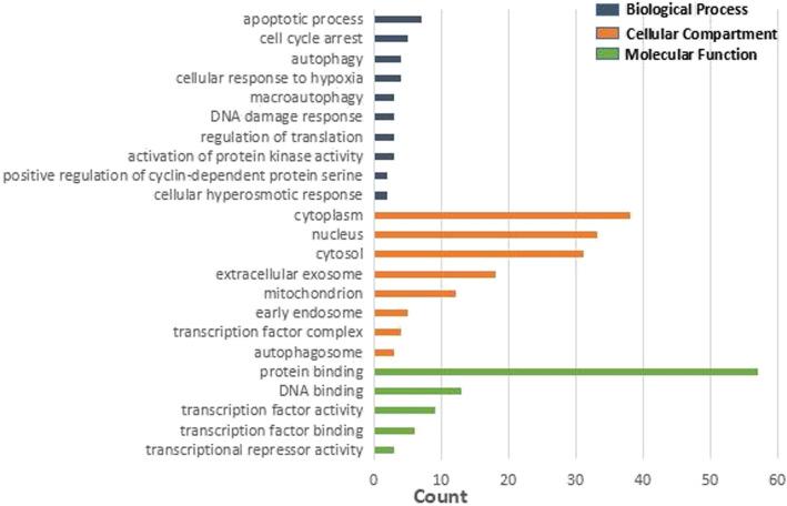 https://cdn.ncbi.nlm.nih.gov/pmc/blobs/9d77/8136174/f27bfffd45c4/13018_2021_2464_Fig5_HTML.jpg