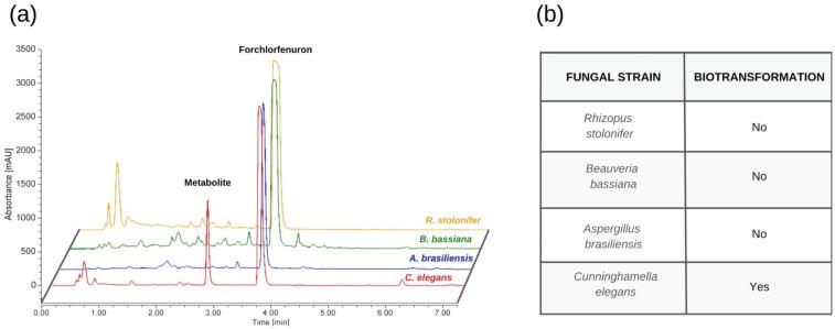 https://cdn.ncbi.nlm.nih.gov/pmc/blobs/9d78/10890479/472cee8f5269/metabolites-14-00101-g001.jpg