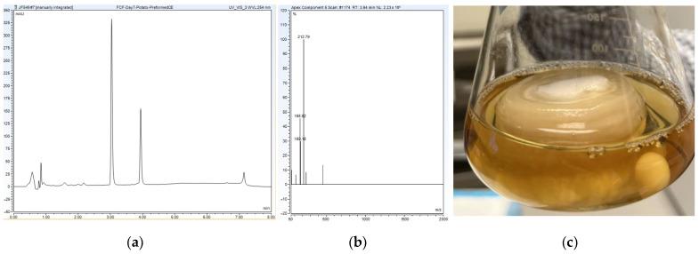 https://cdn.ncbi.nlm.nih.gov/pmc/blobs/9d78/10890479/b8ae0ebecd2e/metabolites-14-00101-g005.jpg