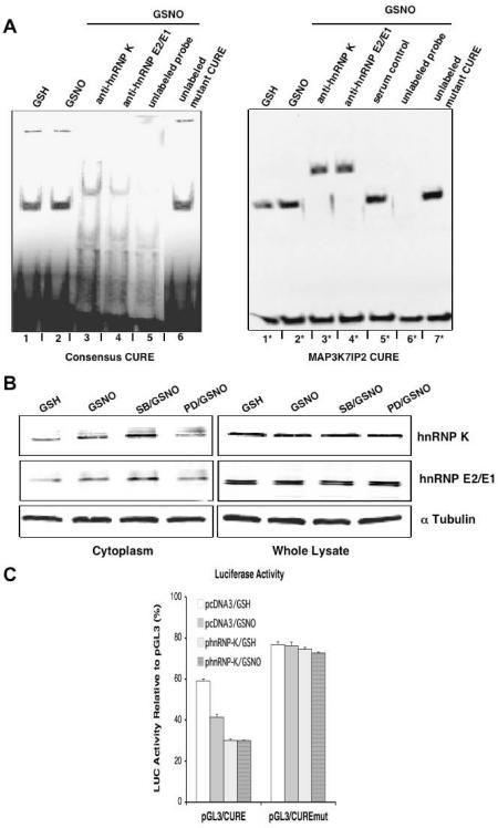 https://cdn.ncbi.nlm.nih.gov/pmc/blobs/9d79/1475749/12890e88b609/gkl386f5.jpg