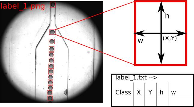 https://cdn.ncbi.nlm.nih.gov/pmc/blobs/9d7a/10167152/2cd4efa5f1c7/10189_2023_290_Fig2_HTML.jpg