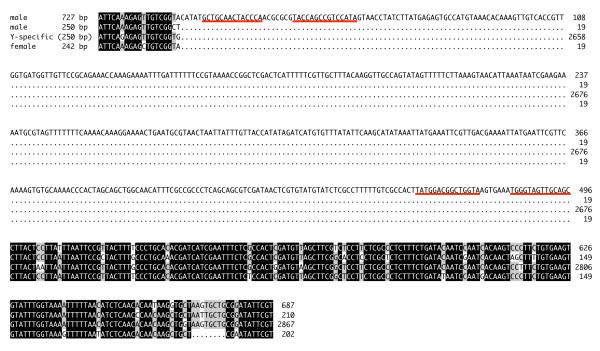 https://cdn.ncbi.nlm.nih.gov/pmc/blobs/9d7a/2826288/62b127c64911/1471-213X-10-12-3.jpg