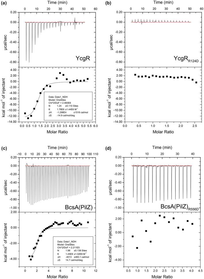 https://cdn.ncbi.nlm.nih.gov/pmc/blobs/9d7b/9104268/cea2408d3864/MPP-23-870-g001.jpg