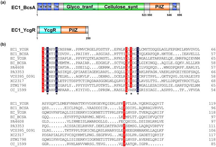 https://cdn.ncbi.nlm.nih.gov/pmc/blobs/9d7b/9104268/e89c836a5349/MPP-23-870-g004.jpg