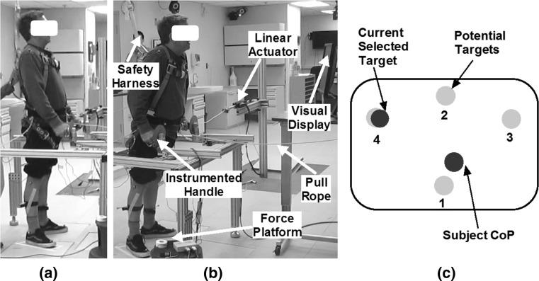 https://cdn.ncbi.nlm.nih.gov/pmc/blobs/9d7c/5790868/98e6e48adb0e/11517_2017_1687_Fig2_HTML.jpg