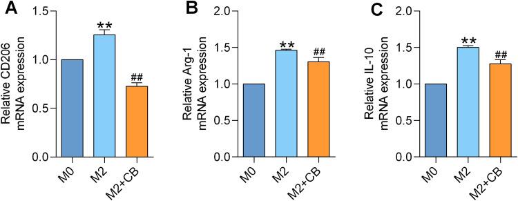 https://cdn.ncbi.nlm.nih.gov/pmc/blobs/9d7e/12327427/c1c4312a0f44/DDDT-19-6647-g0001.jpg