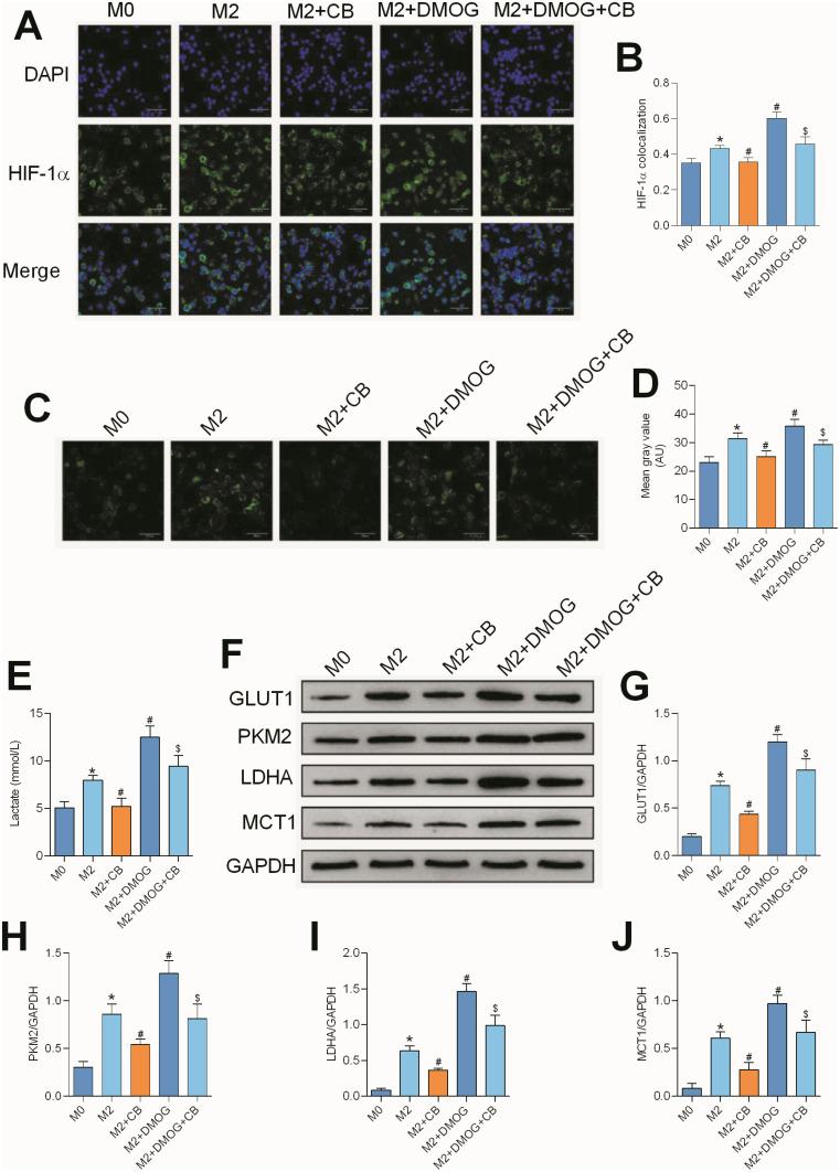 https://cdn.ncbi.nlm.nih.gov/pmc/blobs/9d7e/12327427/e6289cf619dd/DDDT-19-6647-g0004.jpg