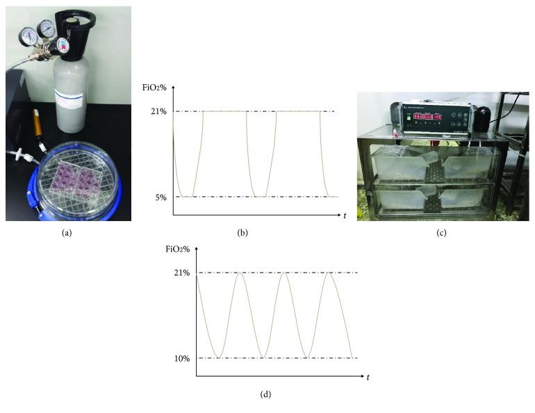 https://cdn.ncbi.nlm.nih.gov/pmc/blobs/9d80/6378806/c421fea71411/OMCL2019-4862760.002.jpg