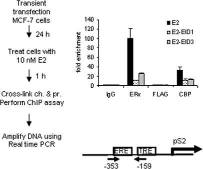 https://cdn.ncbi.nlm.nih.gov/pmc/blobs/9d83/1159117/735e771b4aea/gki667f5.jpg