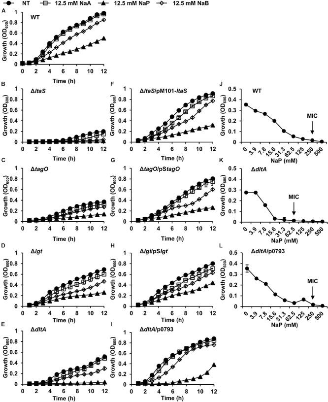 https://cdn.ncbi.nlm.nih.gov/pmc/blobs/9d83/6591440/6d1cd1544398/fmicb-10-01363-g003.jpg