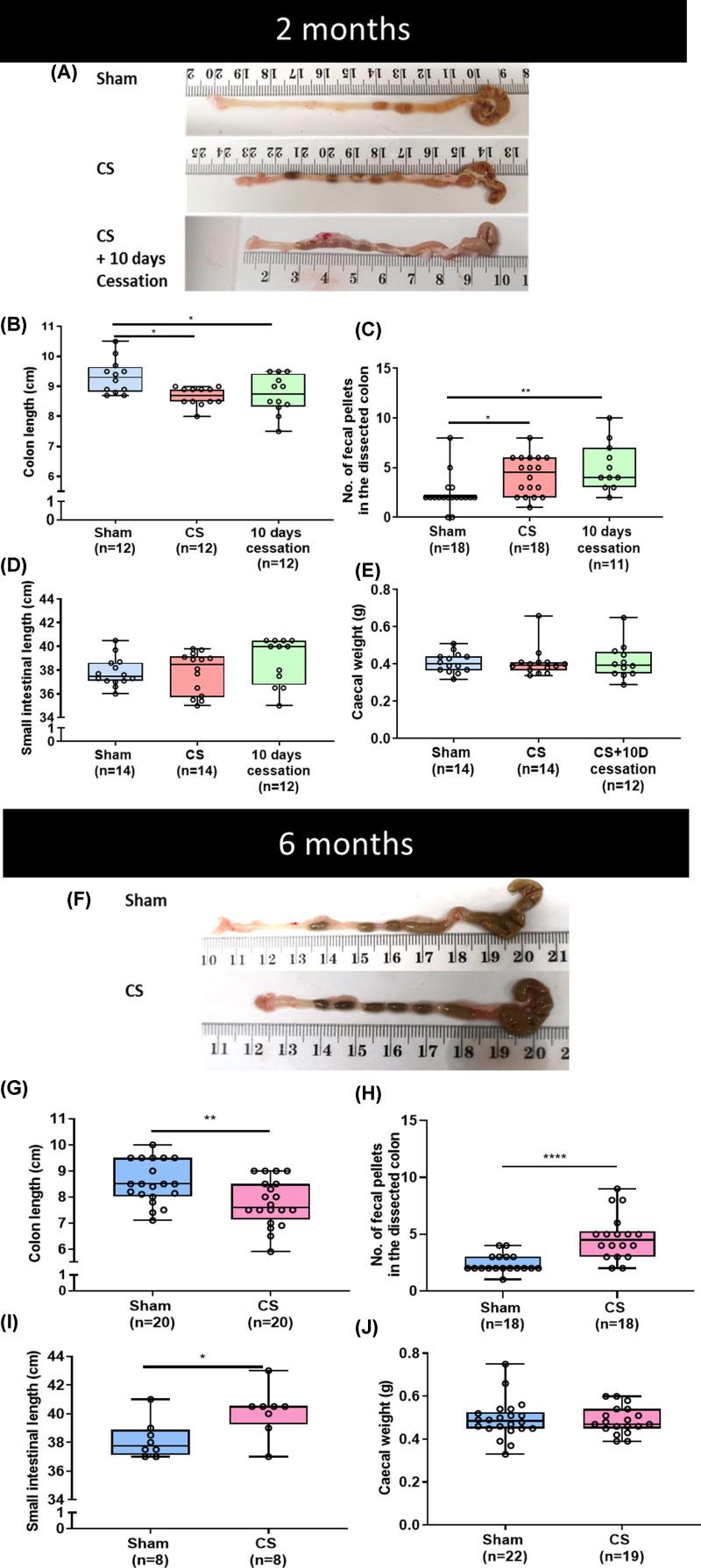 https://cdn.ncbi.nlm.nih.gov/pmc/blobs/9d83/7676466/8413a33de897/cs-134-cs20200886-g1.jpg