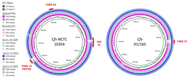 https://cdn.ncbi.nlm.nih.gov/pmc/blobs/9d86/7916060/3e5b479be7e5/microorganisms-09-00340-g001.jpg