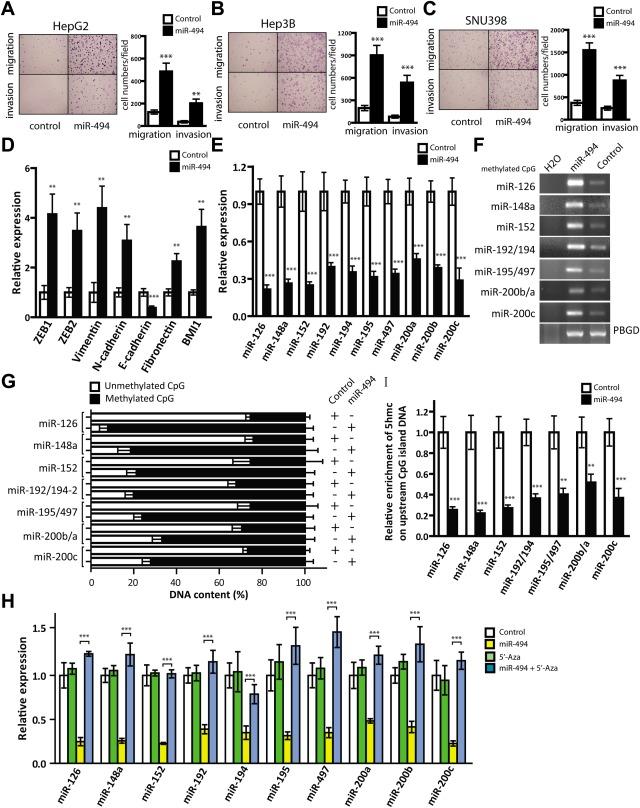 https://cdn.ncbi.nlm.nih.gov/pmc/blobs/9d8a/4682466/a0952be5cdc6/hep0062-0466-f2.jpg